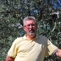 Ivo Poli
