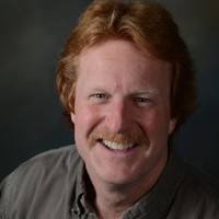 Terry Pedigo