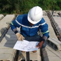 Boris berthonne Loning