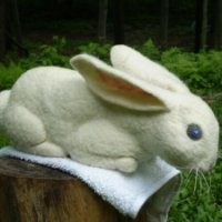 Sue (Suzanne) French