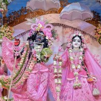 Avinash Thakor