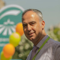 George Kokosis