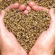 Hemp Redefined