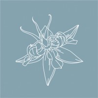 هدى ال هلال