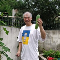 Minh Vi To