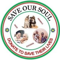 Save Our Soul