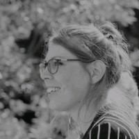 Fien Vermeulen