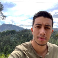 Luis Mesa