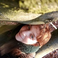 Gisela Posch