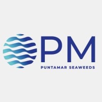 PuntaMar Chile