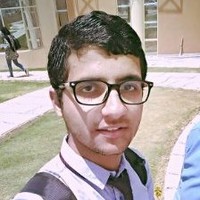ayman elsayed