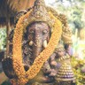 Priteshritesh P
