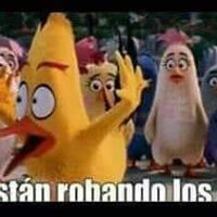 Osvaldo Bambi