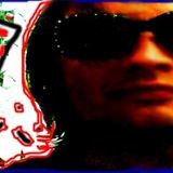 Robin van der Willigen