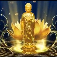 刘伟东