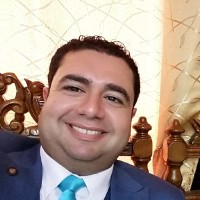 Bassem Nady