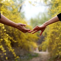 Wisie For Relationships