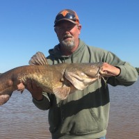 Bill Simpson