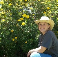 Stephanie Nesbit