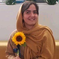 Fateme Ghasemi