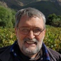Albert Ziehl