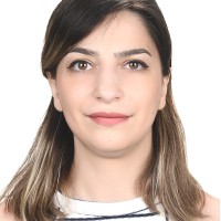 Golnaz Torabfam