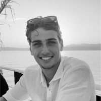 Naut Vink