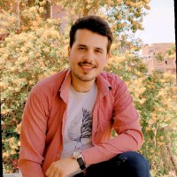 Ahmed Abd ElAziz Mohamed