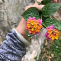 王小姐