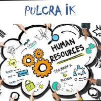 Pulcra Kimya San. Ve Tic. A.Ş.