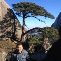 Arrow Zhang