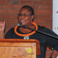 Zenande Leadership Consulting