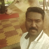 uday kale