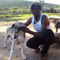 Msa Mtshali