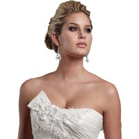 Bridal Gown Preservation