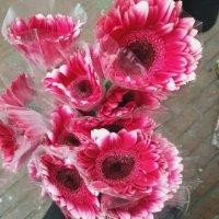 胡志程