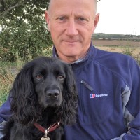 Steve Ford