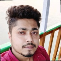 Avishek Ray