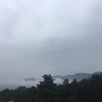 汪志伟