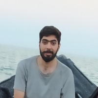 Mostafa Karimi