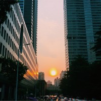 张嘉源