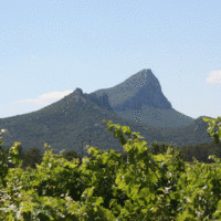 Léa Grand Pic Saint-Loup