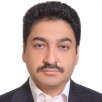 Shahin Navidi