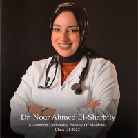 Nour El Sharbtly