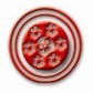 朱晓萌