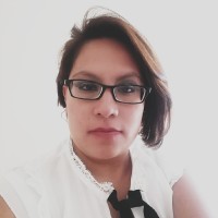 Ilse Yanelli Llanos Silis