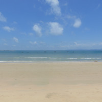 Văn Tùng