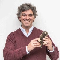 Alvaro Canto Fernández