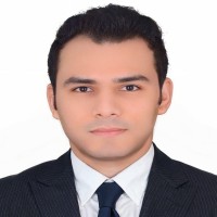 Mahmoud Elsadany