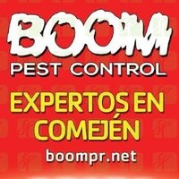 BOOM Pest Control